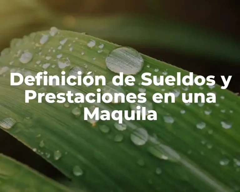 Definición de Sueldos y Prestaciones en una Maquila
