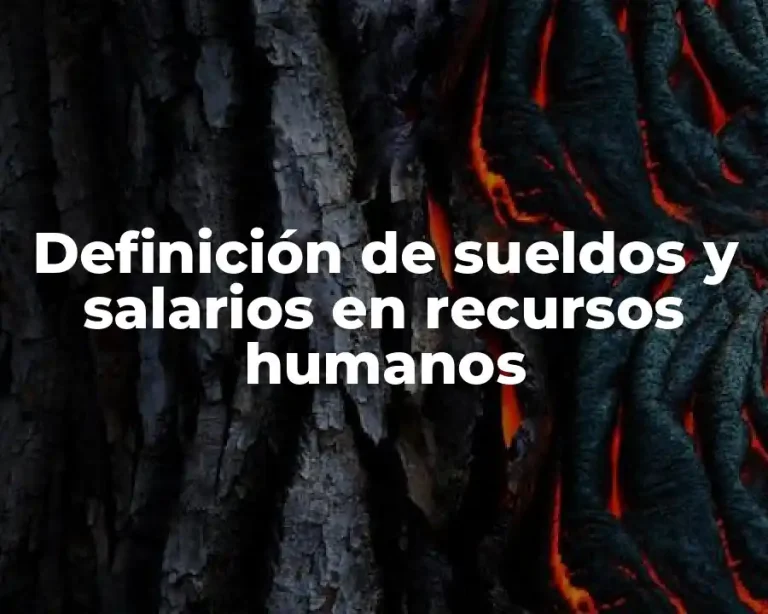 Definición de sueldos y salarios en recursos humanos