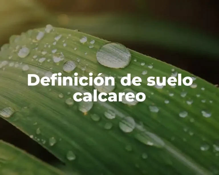 Definición de suelo calcareo