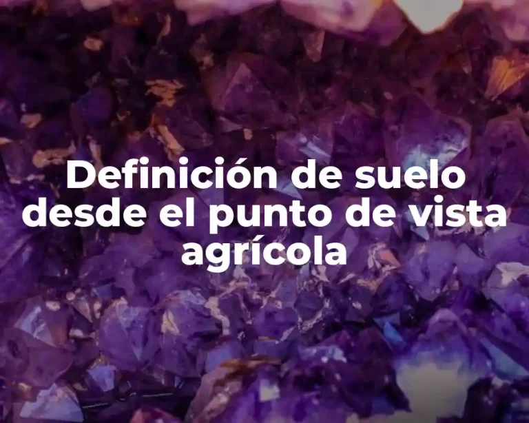 Definición de suelo desde el punto de vista agrícola