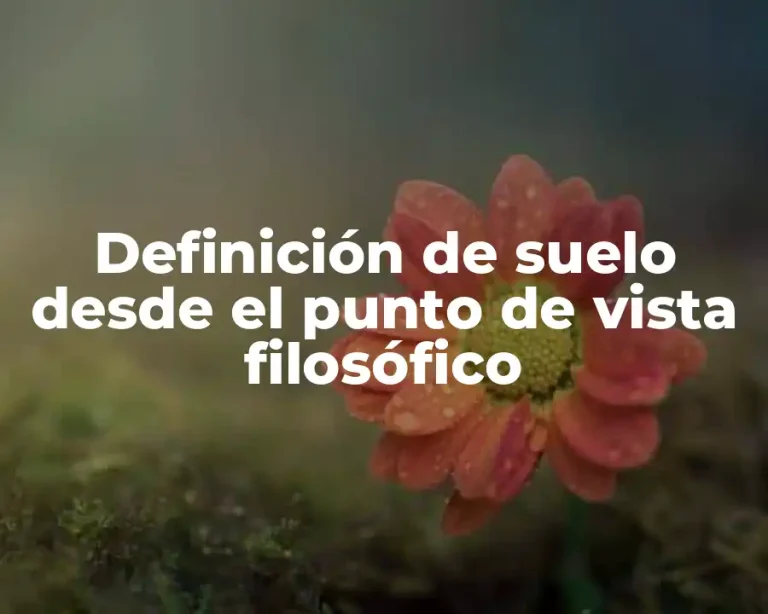 Definición de suelo desde el punto de vista filosófico