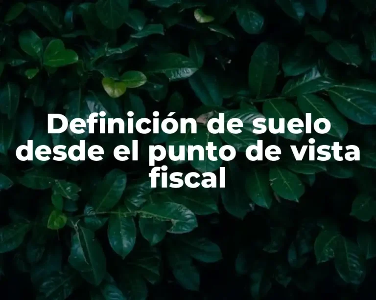 Definición de suelo desde el punto de vista fiscal