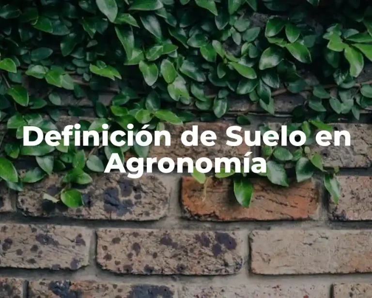 Definición de Suelo en Agronomía