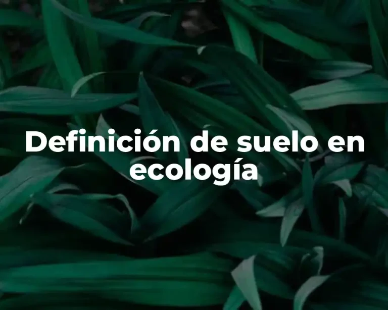 Definición de suelo en ecología