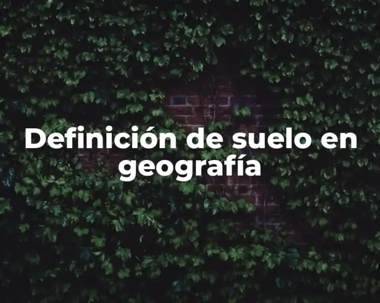 Definición de suelo en geografía
