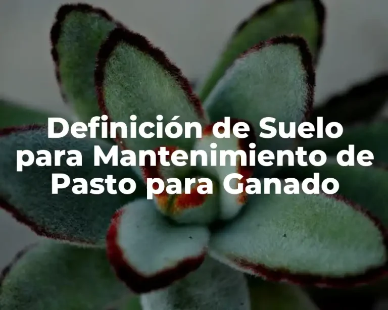 Definición de Suelo para Mantenimiento de Pasto para Ganado