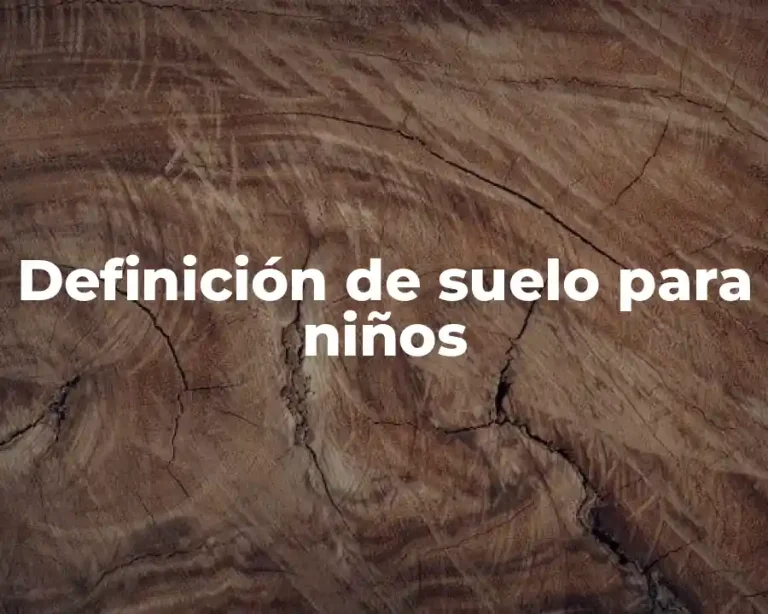 Definición de suelo para niños