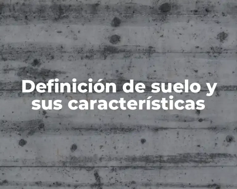 Definición de suelo y sus características