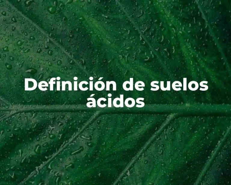 Definición de suelos ácidos