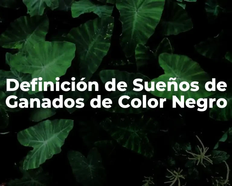 Definición de Sueños de Ganados de Color Negro