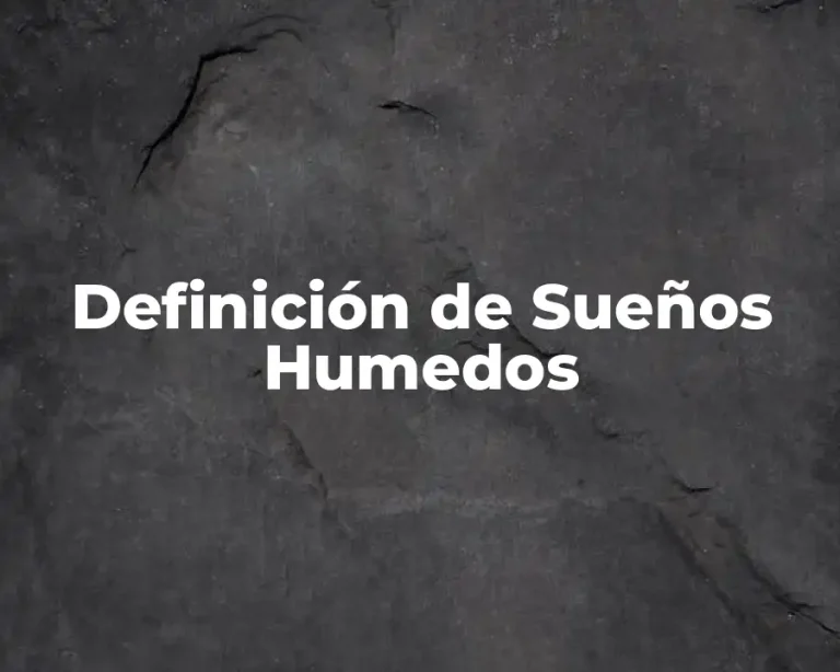 Definición de Sueños Humedos