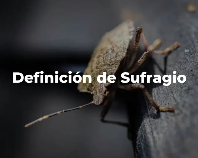 Definición de Sufragio