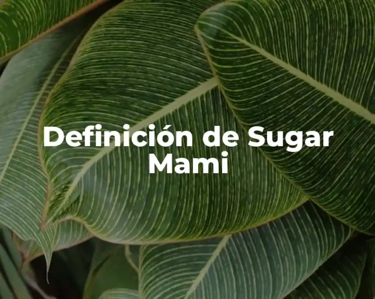 Definición de Sugar Mami
