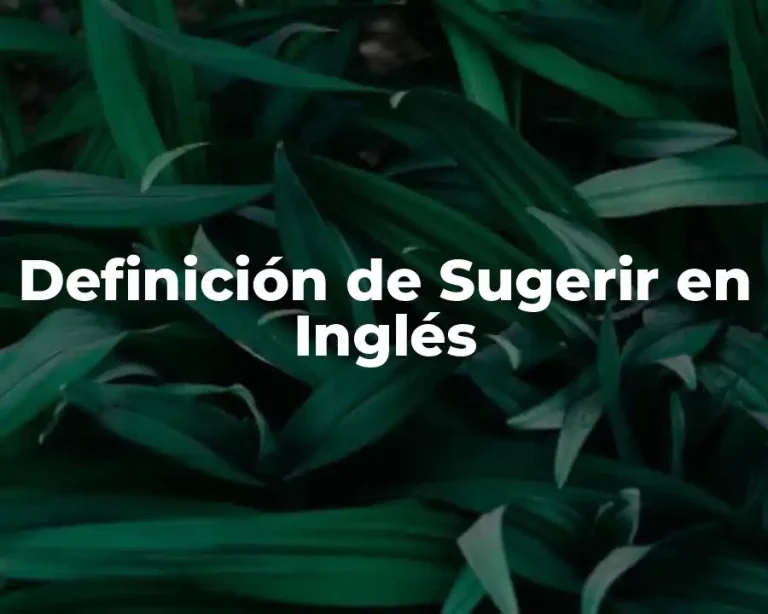 Definición de Sugerir en Inglés