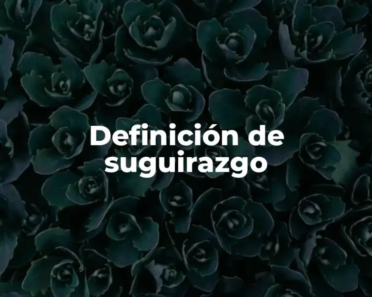 Definición de suguirazgo