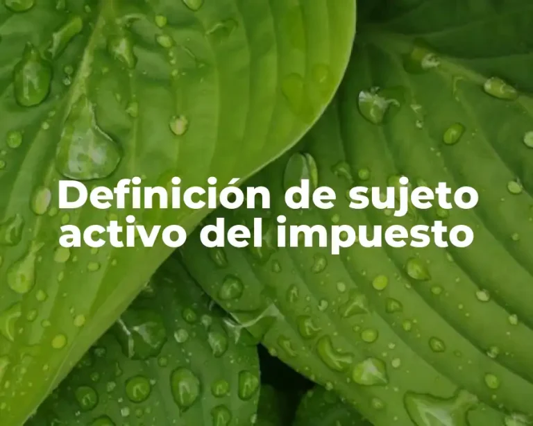 Definición de sujeto activo del impuesto