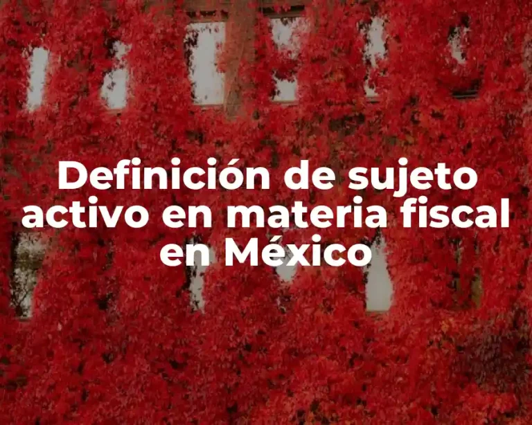 Definición de sujeto activo en materia fiscal en México