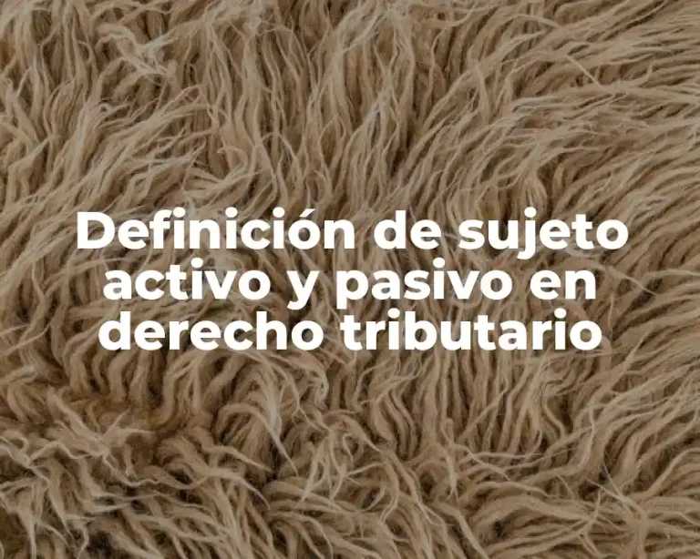 Definición de sujeto activo y pasivo en derecho tributario