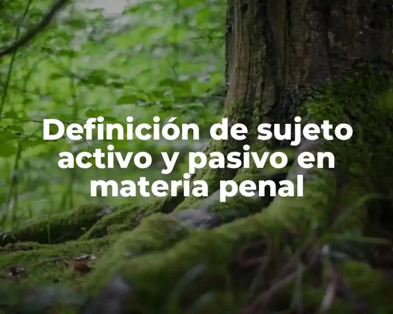 Definición de sujeto activo y pasivo en materia penal