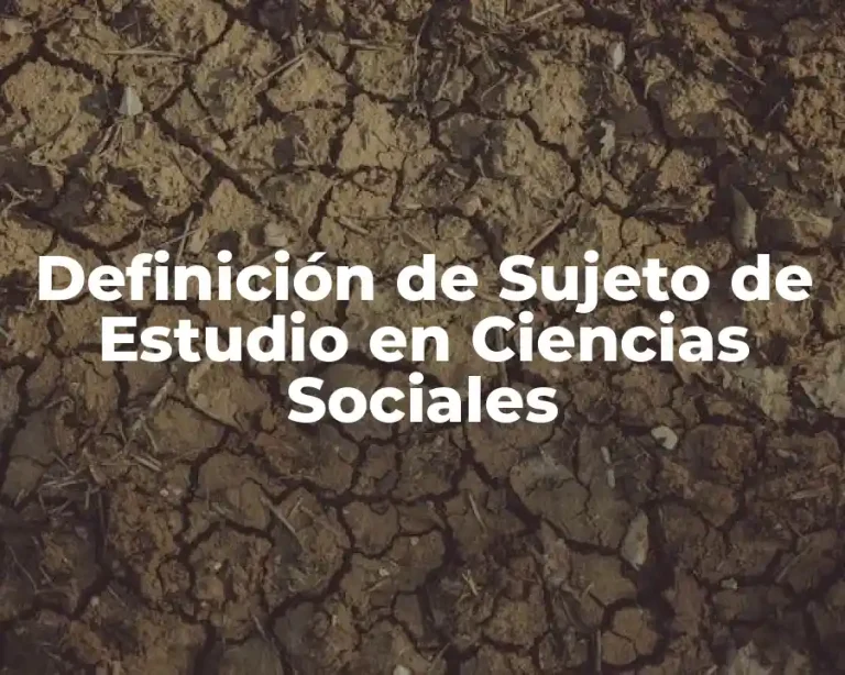 Definición de Sujeto de Estudio en Ciencias Sociales
