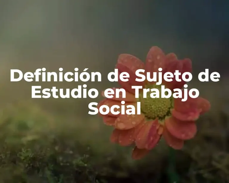 Definición de Sujeto de Estudio en Trabajo Social