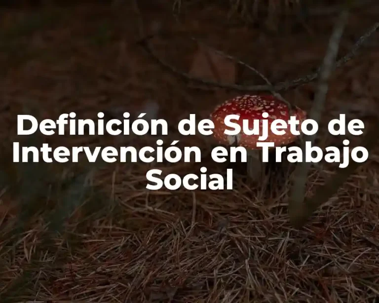 Definición de Sujeto de Intervención en Trabajo Social
