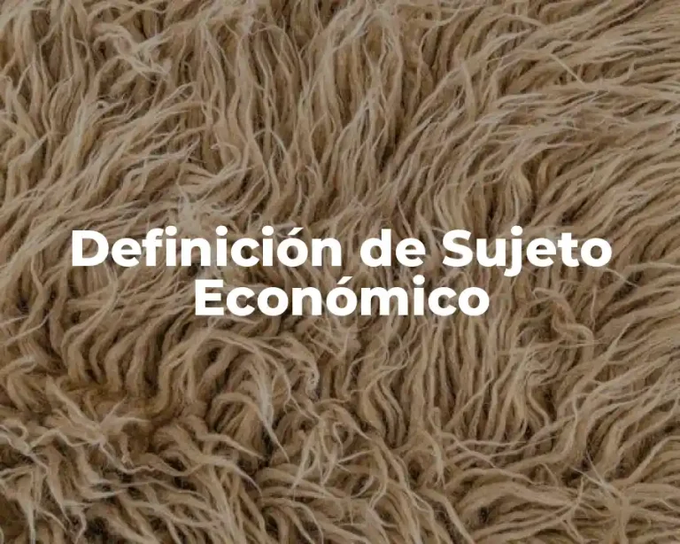 Definición de Sujeto Económico