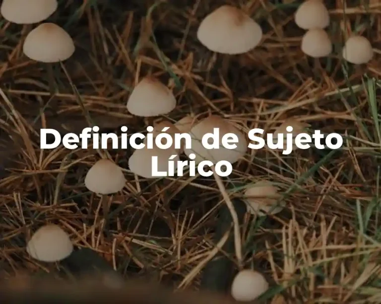 Definición de Sujeto Lírico