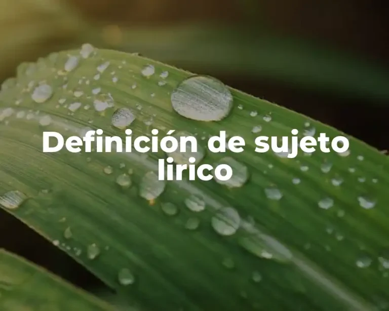 Definición de sujeto lirico