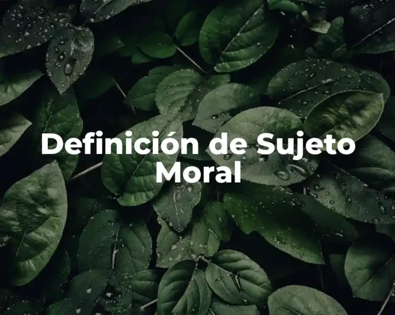 Definición de Sujeto Moral