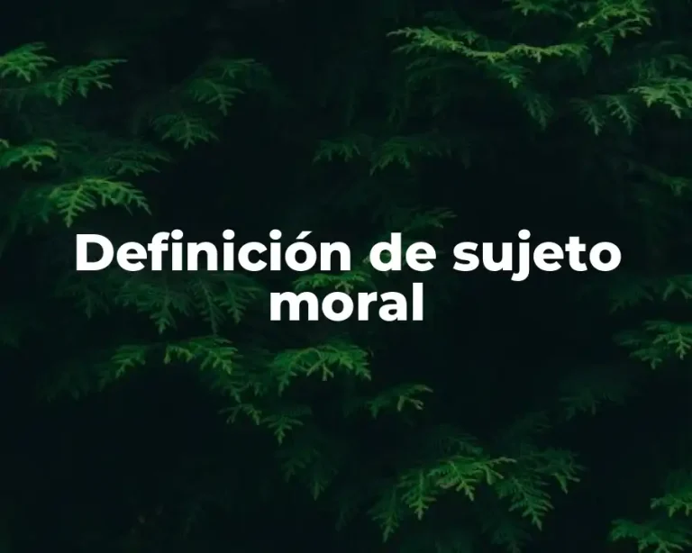 Definición de sujeto moral