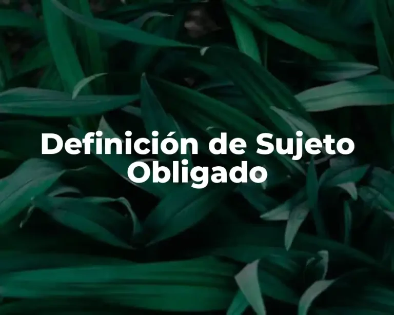 Definición de Sujeto Obligado