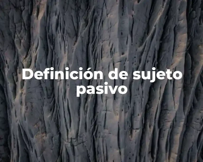 Definición de sujeto pasivo