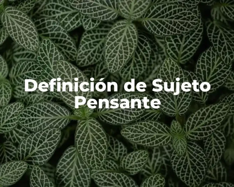 Definición de Sujeto Pensante