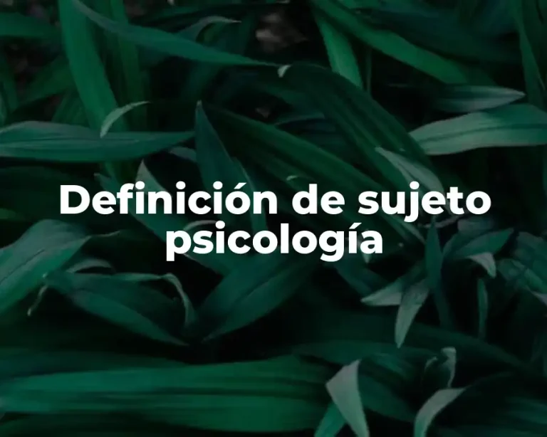 Definición de sujeto psicología