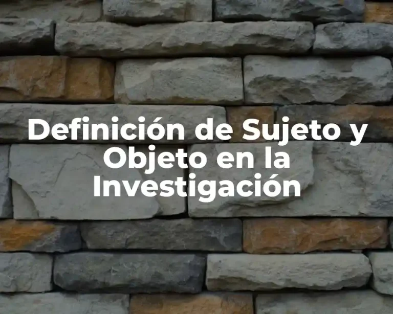 Definición de Sujeto y Objeto en la Investigación