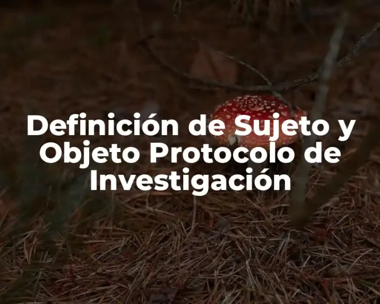 Definición de Sujeto y Objeto Protocolo de Investigación