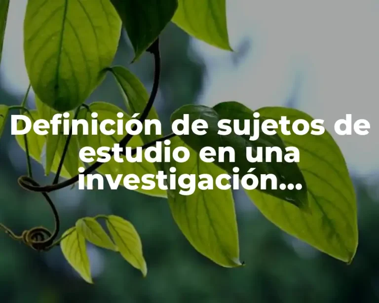Definición de sujetos de estudio en una investigación cualitativa
