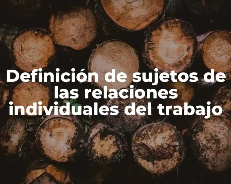 Definición de sujetos de las relaciones individuales del trabajo