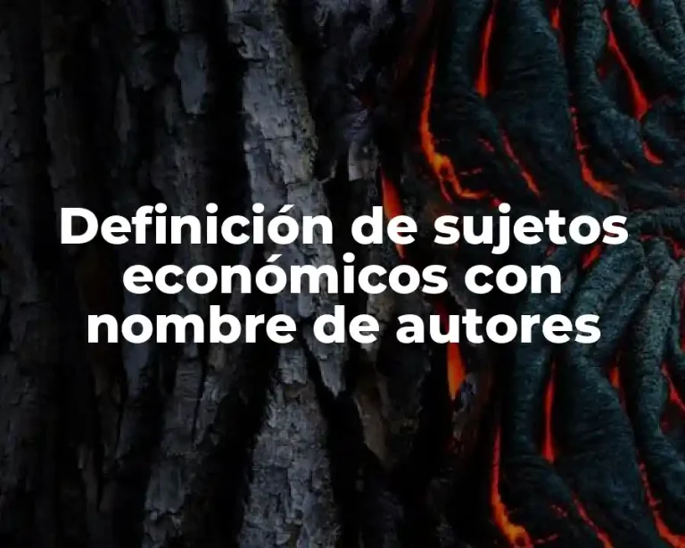 Definición de sujetos económicos con nombre de autores