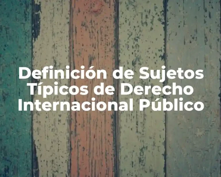 Definición de Sujetos Típicos de Derecho Internacional Público
