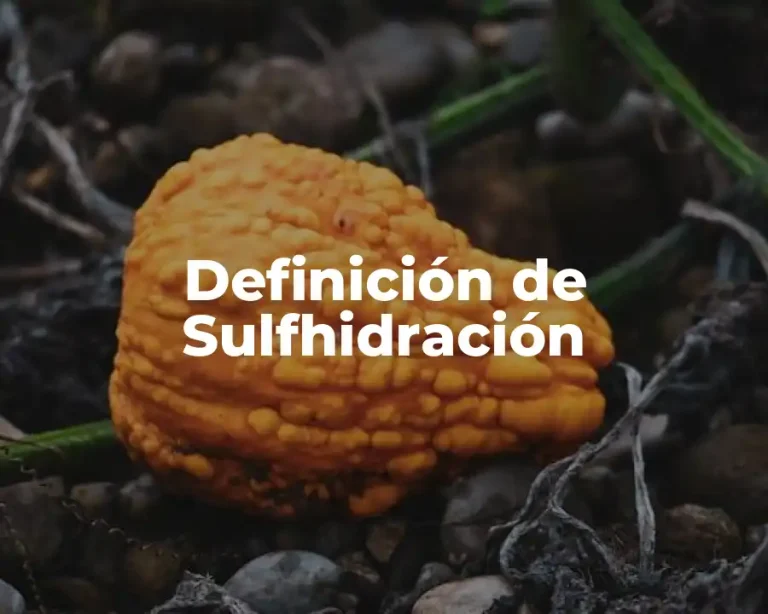 Definición de Sulfhidración