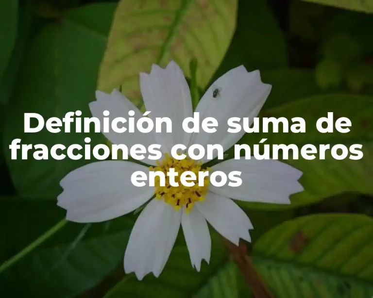Definición de suma de fracciones con números enteros