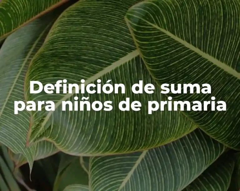 Definición de suma para niños de primaria