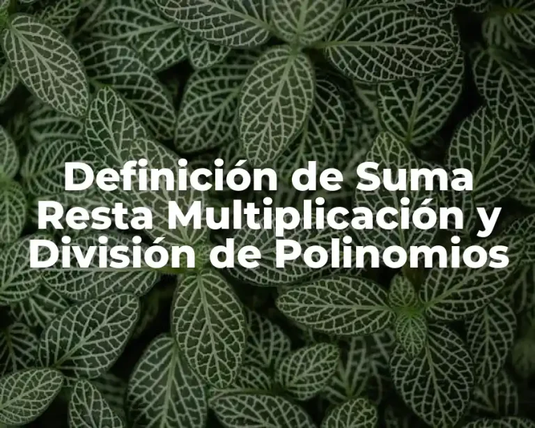Definición de Suma Resta Multiplicación y División de Polinomios
