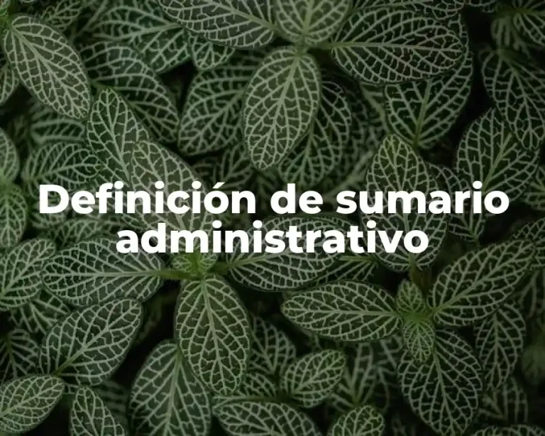Definición de sumario administrativo