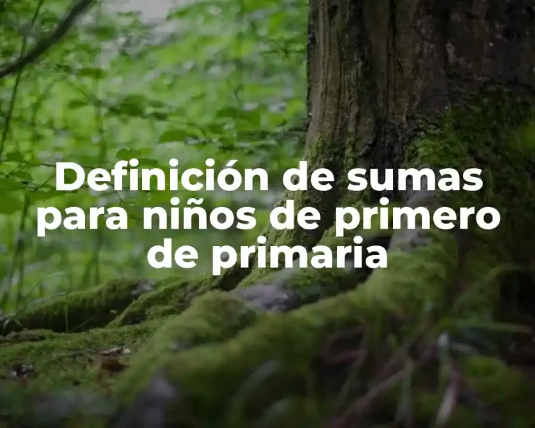 Definición de sumas para niños de primero de primaria