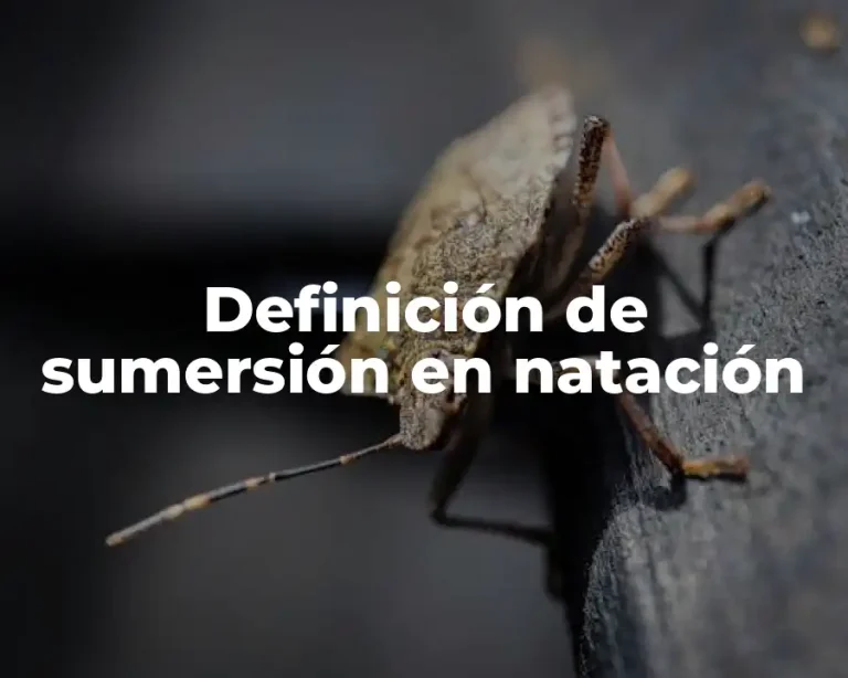 Definición de sumersión en natación