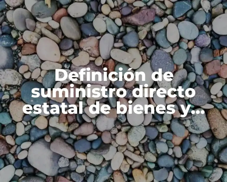 Definición de suministro directo estatal de bienes y servicios