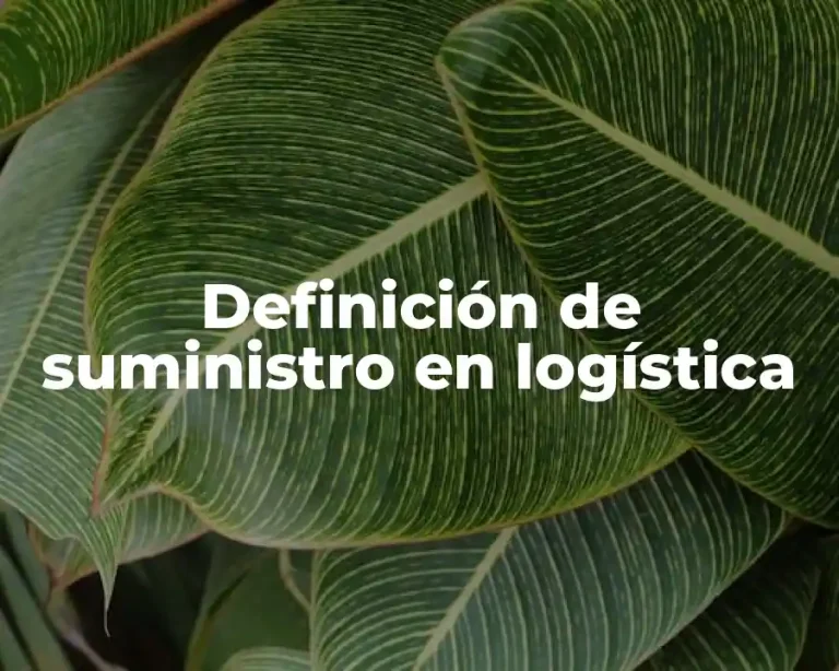 Definición de suministro en logística